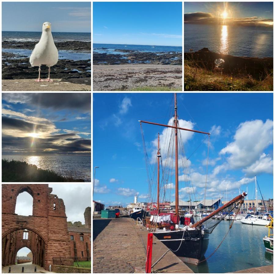 The Snug Lägenhet Arbroath Exteriör bild